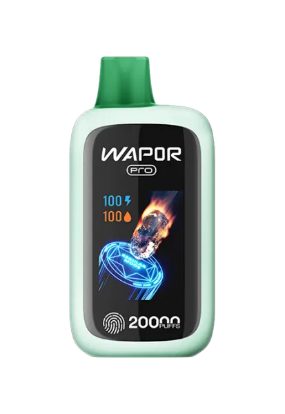 hqd-wapor-pro-pod-vape-einweg-system image 1